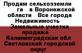 Продам сельхозземли ( 6 000 га ) в Воронежской области - Все города Недвижимость » Земельные участки продажа   . Калининградская обл.,Светловский городской округ 